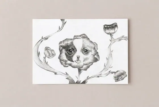 Rosi – Chihuahua in der Rose